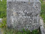 image of grave number 303058